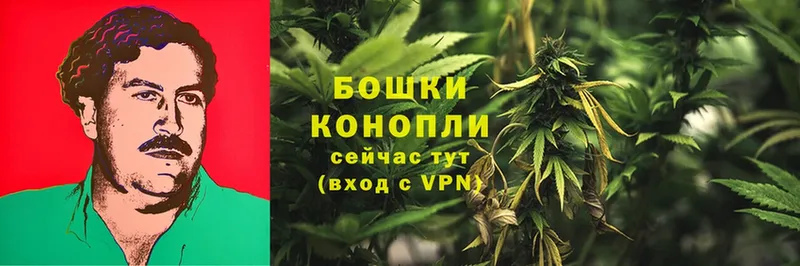 Марихуана SATIVA & INDICA  ОМГ ОМГ   Гороховец 